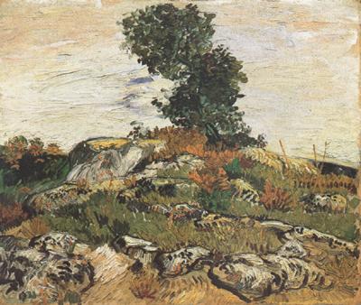 Vincent Van Gogh Rocks with Oak Trees (nn04) oil painting image